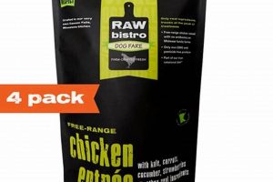 Benefits of Raw Bistro Dog Food: A Healthy Choice | World’s Most Delicious Foods: Must-Try Dishes from Every Country