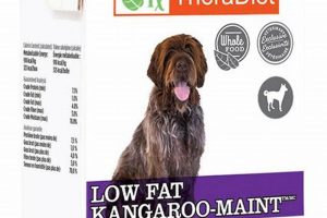 Raynes Dog Food: The Best Diet For Your Dog [Expert Tips] | World’s Most Delicious Foods: Must-Try Dishes from Every Country