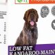 Raynes Dog Food: The Best Diet For Your Dog [Expert Tips] | World’s Most Delicious Foods: Must-Try Dishes from Every Country