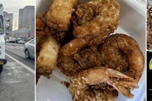 Bronx Bites: Best Irish Food Truck Near You, NY! | World’s Most Delicious Foods: Must-Try Dishes from Every Country