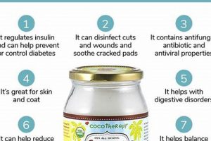 The Best Dog Food with Coconut: Healthy & Delicious! | World’s Most Delicious Foods: Must-Try Dishes from Every Country