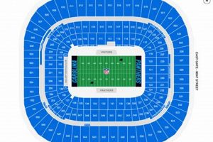 Your Guide: Bank of America Stadium Food &amp; More! | World’s Most Delicious Foods: Must-Try Dishes from Every Country