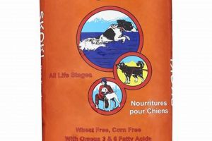 Skoki Dog Food: Quality Nutrition Your Dog Will Love! | World’s Most Delicious Foods: Must-Try Dishes from Every Country