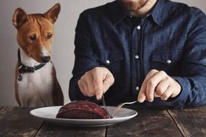 Venison Delight: Best Deer Meat Dog Food Today! | World’s Most Delicious Foods: Must-Try Dishes from Every Country