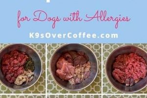 Is Raw Food Right For Your Dog? Raw Diets for Allergies | World’s Most Delicious Foods: Must-Try Dishes from Every Country