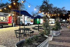 Find Food Truck Parking Spots: Near You + Legally | World’s Most Delicious Foods: Must-Try Dishes from Every Country