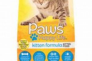 Best Paws Cat Food: Healthy, Delicious &amp; Affordable! | World’s Most Delicious Foods: Must-Try Dishes from Every Country