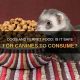 Is It Safe? Can Dogs Eat Ferret Food? Guide | World’s Most Delicious Foods: Must-Try Dishes from Every Country