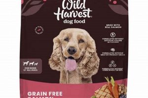 Best Wild Harvest Dog Food: Natural & Healthy | World’s Most Delicious Foods: Must-Try Dishes from Every Country
