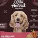Best Wild Harvest Dog Food: Natural & Healthy | World’s Most Delicious Foods: Must-Try Dishes from Every Country