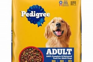 Top Dog Foods: Best Food to Avoid DCM - Guide | World’s Most Delicious Foods: Must-Try Dishes from Every Country