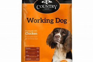 Fueling Performance: Best Dog Food for Working Dogs Today | World’s Most Delicious Foods: Must-Try Dishes from Every Country
