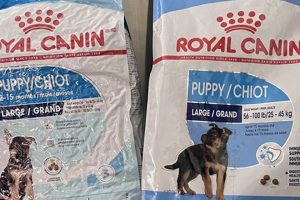 Dog Food Cups: How Many Cups in a 30lb Bag? [Guide] | World’s Most Delicious Foods: Must-Try Dishes from Every Country