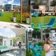 Gainesville Food Trucks: Your Mobile Culinary Guide | World’s Most Delicious Foods: Must-Try Dishes from Every Country