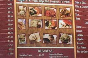 Best Mexican Food Restaurants In Lewisville TX Guide | World’s Most Delicious Foods: Must-Try Dishes from Every Country