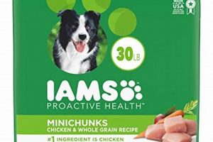 Best Dog Food Green Bag: Reviews & Guide (2024) | World’s Most Delicious Foods: Must-Try Dishes from Every Country