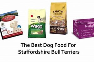 Top Choices: Best Food for American Staffy Diet Guide | World’s Most Delicious Foods: Must-Try Dishes from Every Country