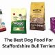 Top Choices: Best Food for American Staffy Diet Guide | World’s Most Delicious Foods: Must-Try Dishes from Every Country