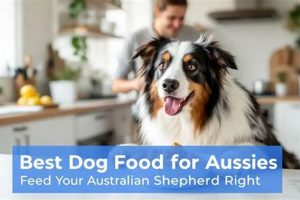 Best Dog Food for Aussies: Breed-Specific Meals & More World’s Most Delicious Foods: Must-Try Dishes from Every Country Best Dog Food for Aussies: Breed-Specific Meals & More | World’s Most Delicious Foods: Must-Try Dishes from Every Country