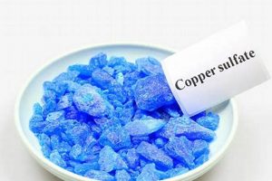 Is Copper Sulfate in Dog Food Safe? Benefits & Risks World’s Most Delicious Foods: Must-Try Dishes from Every Country Is Copper Sulfate in Dog Food Safe? Benefits & Risks | World’s Most Delicious Foods: Must-Try Dishes from Every Country