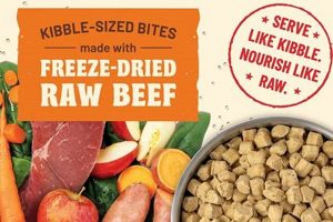 Best of Both? Kibble Raw Dog Food Diet: Is it Safe? | World’s Most Delicious Foods: Must-Try Dishes from Every Country