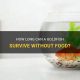 Can Goldfish Survive? How Long Without Food Safe Span | World’s Most Delicious Foods: Must-Try Dishes from Every Country