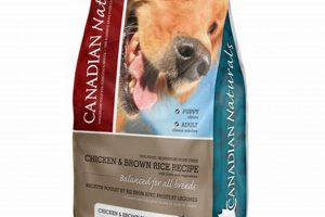 Best Canadian Dog Food Brands: Local &amp; Healthy for Dogs | World’s Most Delicious Foods: Must-Try Dishes from Every Country