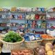 Your Local Food Bank: Middletown CT Assistance &amp; Donations | World’s Most Delicious Foods: Must-Try Dishes from Every Country