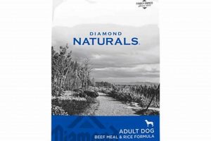 Best Diamond Beef Dog Food: Fueling Your Pup's Health! | World’s Most Delicious Foods: Must-Try Dishes from Every Country