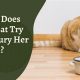 Cat's Burying Food: Why Does My Cat Try to Bury Her Wet Food? | World’s Most Delicious Foods: Must-Try Dishes from Every Country