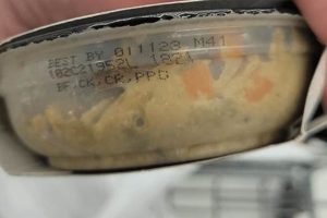 Is Old Dog Food Safe? Expired Food Dangers! | World’s Most Delicious Foods: Must-Try Dishes from Every Country