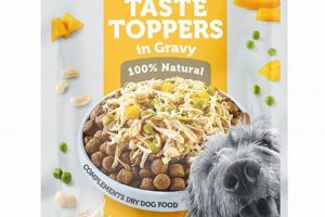 Best Dog Food Topper Liquid: Enhance Your Pup's Meals! | World’s Most Delicious Foods: Must-Try Dishes from Every Country
