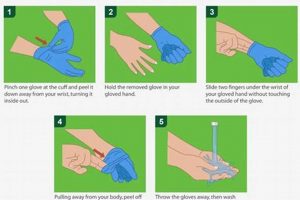 Glove Time: How Long Can Food Workers Wear Gloves? Rules &amp; Tips | World’s Most Delicious Foods: Must-Try Dishes from Every Country