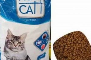 Best Nutri Cat Food Choices: Fueling Feline Health | World’s Most Delicious Foods: Must-Try Dishes from Every Country