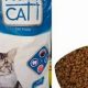 Best Nutri Cat Food Choices: Fueling Feline Health | World’s Most Delicious Foods: Must-Try Dishes from Every Country