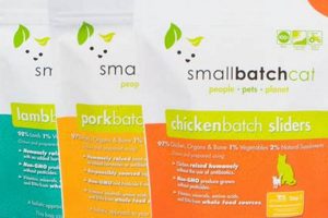 Best Small Batch Raw Cat Food: Recipes & Benefits | World’s Most Delicious Foods: Must-Try Dishes from Every Country