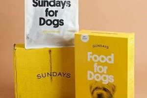 Dog Food Costs: How Much Does Sundays Dog Food Cost? | World’s Most Delicious Foods: Must-Try Dishes from Every Country