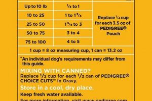 Dog Food Guide: How Many Cups in 30 lbs of Dog Food? | World’s Most Delicious Foods: Must-Try Dishes from Every Country