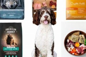 Top-Rated: Best Puppy Food for Bernedoodles (Guide) World’s Most Delicious Foods: Must-Try Dishes from Every Country Top-Rated: Best Puppy Food for Bernedoodles (Guide) | World’s Most Delicious Foods: Must-Try Dishes from Every Country