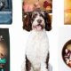 Top-Rated: Best Puppy Food for Bernedoodles (Guide) | World’s Most Delicious Foods: Must-Try Dishes from Every Country