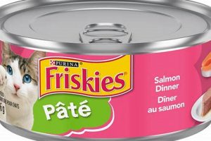 Top Wet Canned Cat Food: Brands & Reviews [2024] | World’s Most Delicious Foods: Must-Try Dishes from Every Country