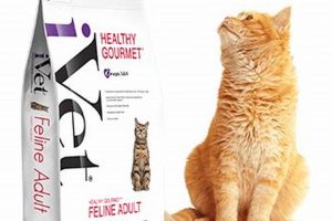 Is Ivet Cat Food Right? Expert Advice + Reviews | World’s Most Delicious Foods: Must-Try Dishes from Every Country