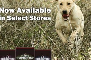 Best Running Dog Food: Fuel Your Active Pup! | World’s Most Delicious Foods: Must-Try Dishes from Every Country