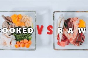 Raw vs Cooked: Best Dog Food? Nutrition Showdown | World’s Most Delicious Foods: Must-Try Dishes from Every Country