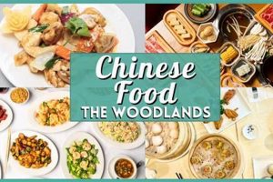 Best Chinese Food The Woodlands, TX: Find Great Dishes World’s Most Delicious Foods: Must-Try Dishes from Every Country Best Chinese Food The Woodlands, TX: Find Great Dishes | World’s Most Delicious Foods: Must-Try Dishes from Every Country