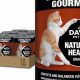 Dave's Cat Food: Best Nutrition for a Healthy Cat Today! | World’s Most Delicious Foods: Must-Try Dishes from Every Country