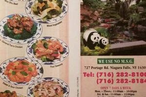 Best Chinese Food Near Niagara Falls, NY: Top Spots! World’s Most Delicious Foods: Must-Try Dishes from Every Country Best Chinese Food Near Niagara Falls, NY: Top Spots! | World’s Most Delicious Foods: Must-Try Dishes from Every Country