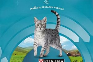 Best Salmon Cat Food Dry: Health & Shiny Coat World’s Most Delicious Foods: Must-Try Dishes from Every Country Best Salmon Cat Food Dry: Health & Shiny Coat | World’s Most Delicious Foods: Must-Try Dishes from Every Country