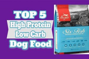 Best Low Carb High Protein Dog Food for Healthy Dogs + | World’s Most Delicious Foods: Must-Try Dishes from Every Country