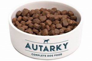 DIY Autarky Dog Food: Home Made Nutrition for Dogs | World’s Most Delicious Foods: Must-Try Dishes from Every Country